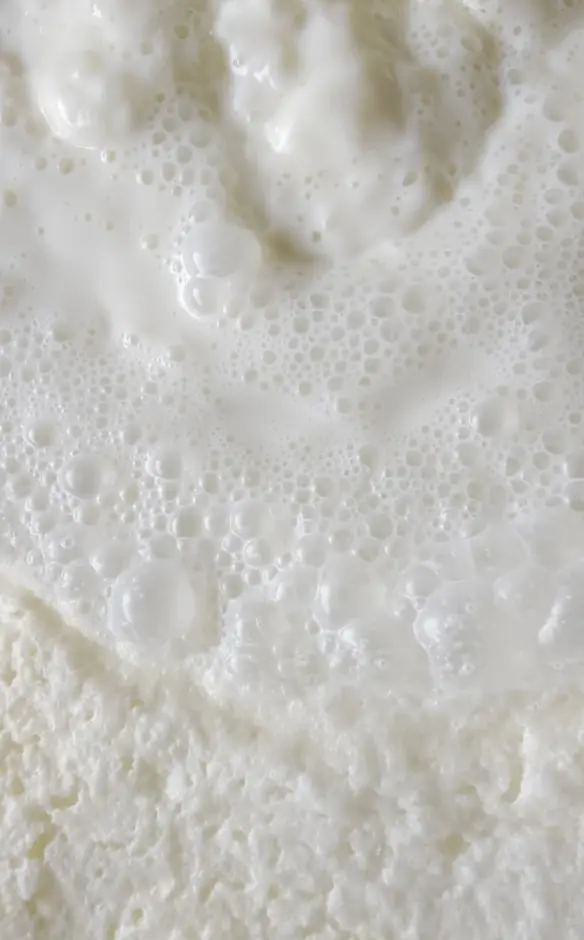 Espuma de leche